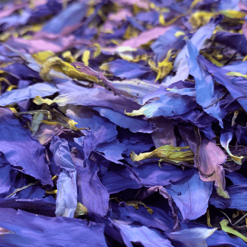 Organic Blue Lotus Dried Flowers • Lotus Factory